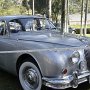 Jaguar 1964