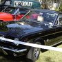Ford Mustang T5 Fast Back 1960