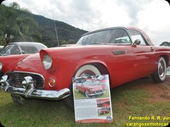 Ford Thunderbird 1955 Conversível