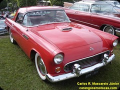 Ford Thunderbird 1955