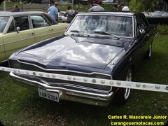 Dodge