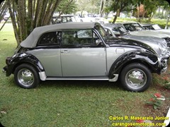 VW Fusca