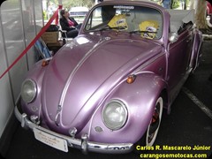 VW Fusca