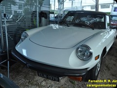 VW Puma