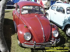VW Fusca 