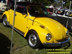 VW Fusca