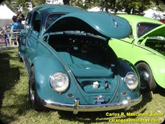 VW Fusca