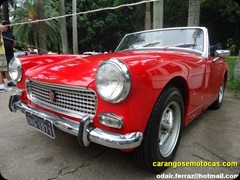 MG