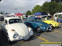 VW Fusca Panorâmica