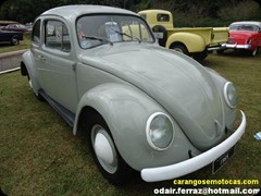 VW Fusca